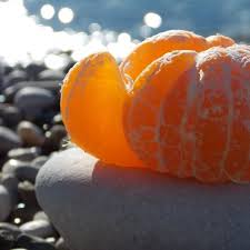 Fragrance  Mandarine / Sel de Mer