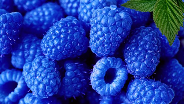 Fragrance Framboise bleue